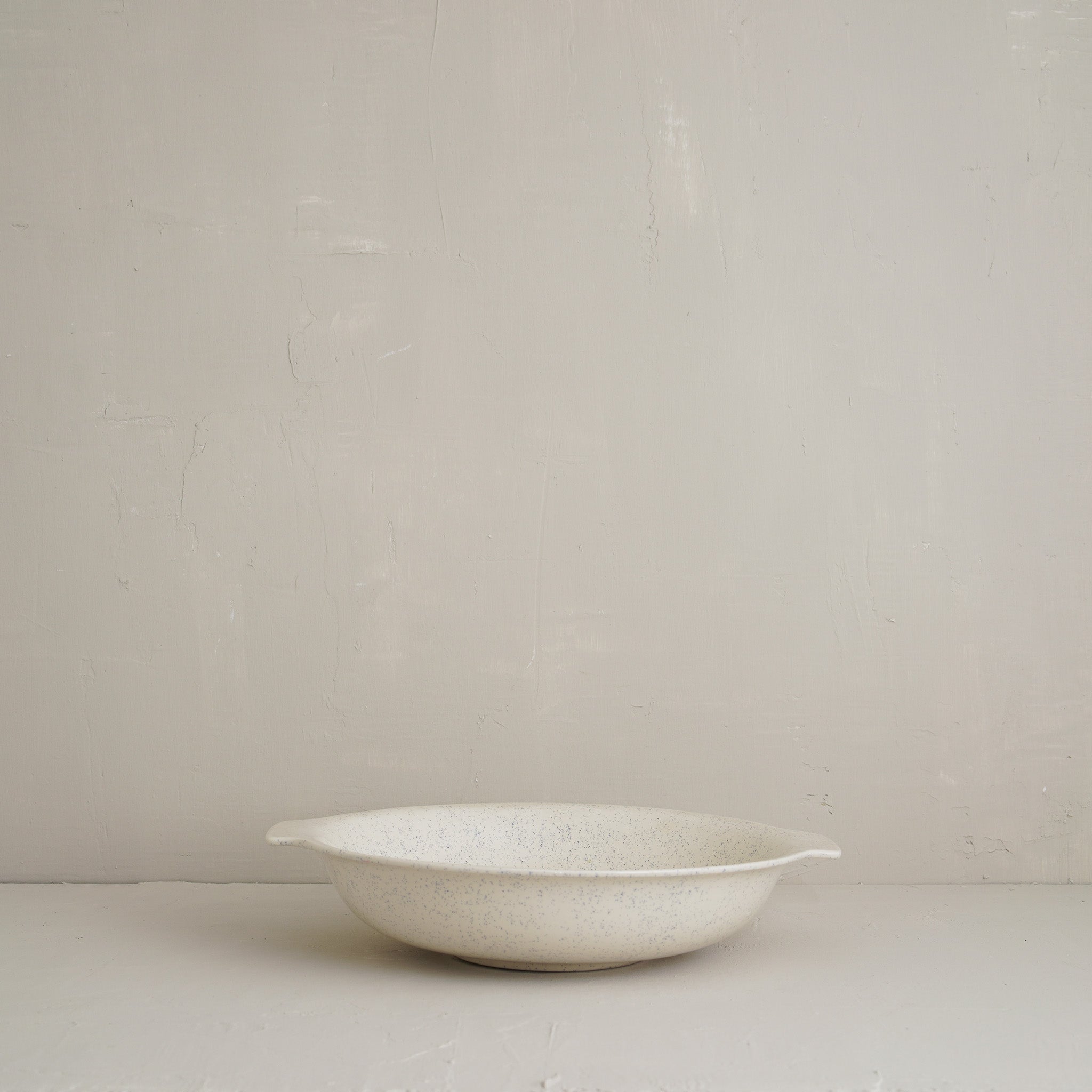 Sprig Speckled Bowl