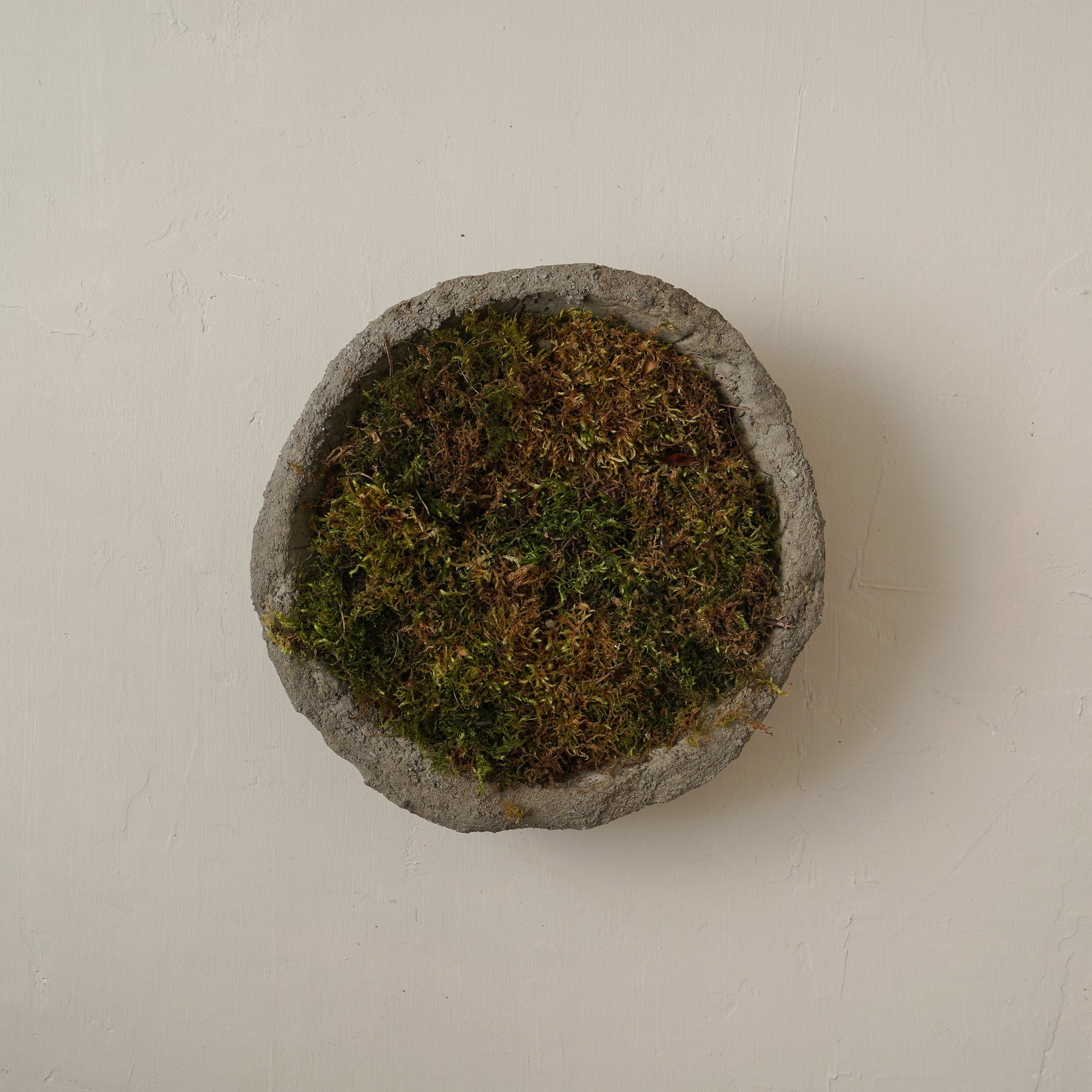Leav Moss Filled Planter