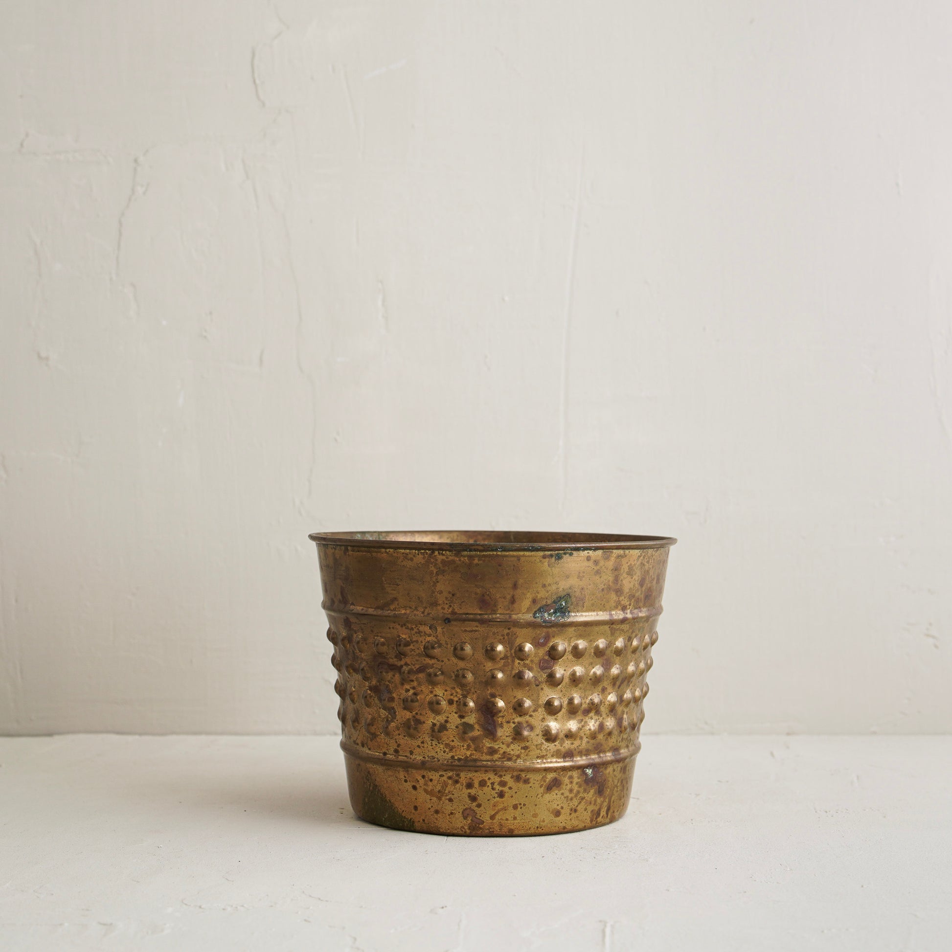 Janeth Tarnished Planter