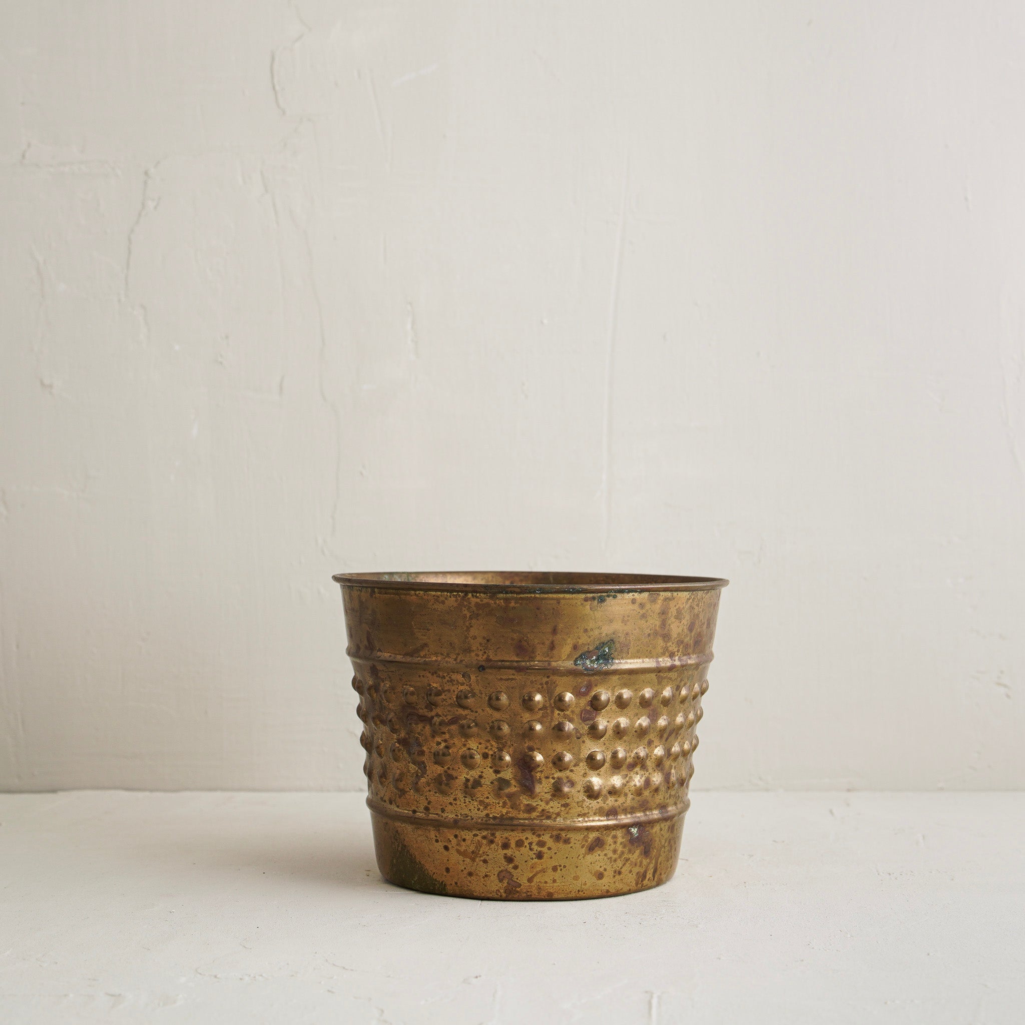 Janeth Tarnished Planter