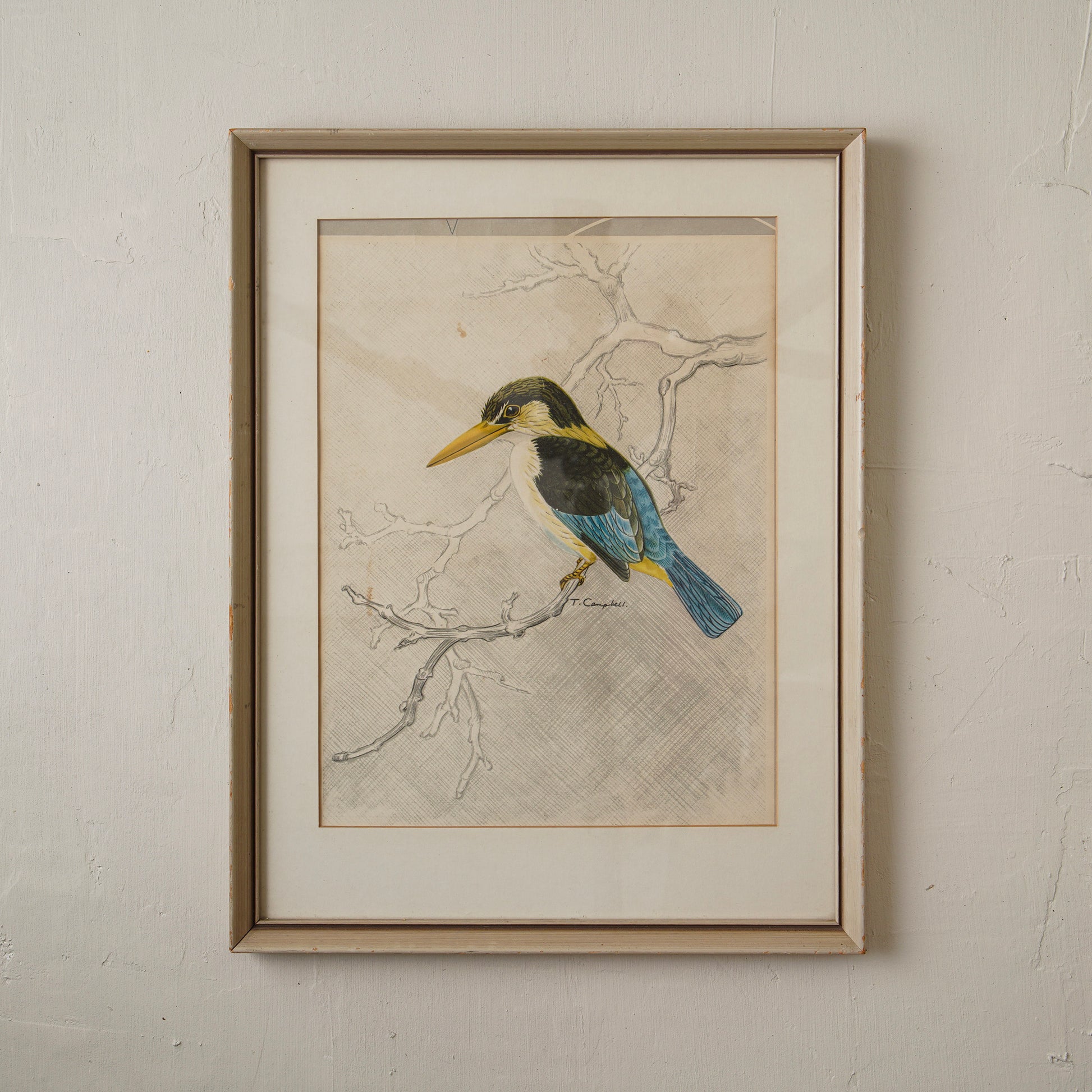 Kingfisher Artwork