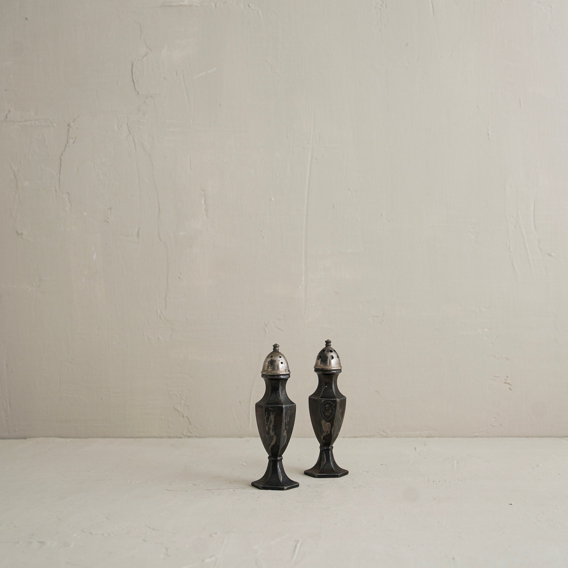Kivara Tarnisher Shaker Pair